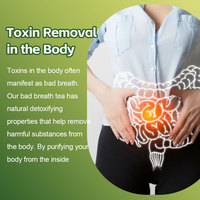 Bolsitas de Té Herbal Natural para el Mal Aliento, Veganas, Sin OMG, Sin Azúcar, Limpian la Boca, Refrescan, Cuidado Bucal, Suplemento para Refrescar el Aliento