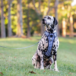 快適なステップイン式犬用ハーネス、頑丈で反射素材付き、アクティブなペットのための簡単操作ハンドル付きファッションハーネス - Product Image 5