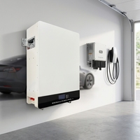 Batterie au lithium LiFePO4 murale 48V 200Ah 300Ah pour système de stockage d'énergie domestique, sauvegarde solaire avec BMS WiFi-RS485-CAN