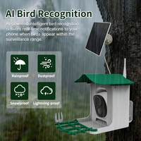 Mangeoire à oiseaux automatique extérieure en plastique de luxe avec caméra, capacité 2,1 L, batterie, étanche, contrôle par application Wi-Fi, vision nocturne