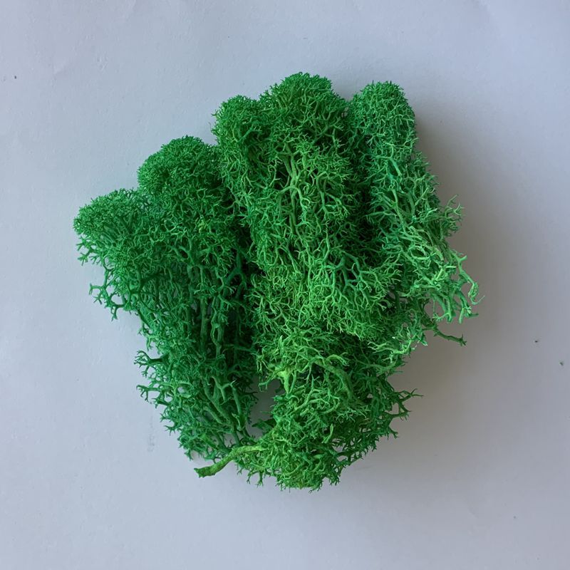 Vert