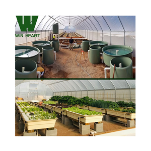 Invernaderos de un solo aro para equipos de acuicultura de cultivo de <span class=keywords><strong>peces</strong></span> y vegetales acuáticos - Product Image 1
