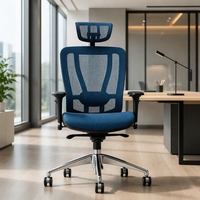 Chaise ergonomique avec dossier réglable sur 6 niveaux |   Chaise de bureau professionnelle à dossier et lombaire séparés en maille TPE, directement de l'usine