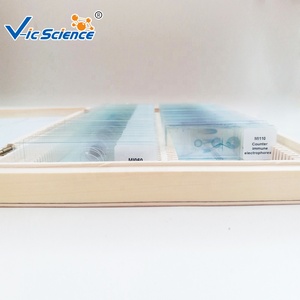 Ensemble de lames de parasite 100 sortes de lames préparées par la parasitologie médicale des étudiants - Product Image 5