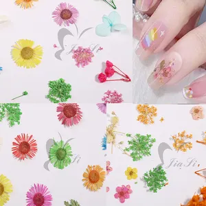 Popular 12colors Pressed Nail Art Natural Real Nail Dry Flower For Nails Decoration Manicure