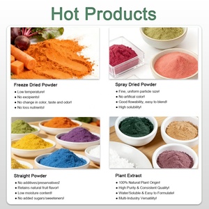 אבקת גזר מיובשת בהקפאה, אספקה מהמפעל, 100% טהור טבעי ללא תוספים, למאפים ומשקאות - Product Image 4