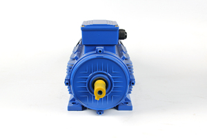 มอเตอร์ไฟฟ้ากระแสสลับสามเฟส YE3 380V 22kw 30HP สำหรับขาย YE3 มอเตอร์ YE3 มอเตอร์เหนี่ยวนำ YE3 22kw มอเตอร์สามเฟส 30hp มอเตอร์ AC - Product Image 1