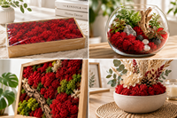 Mousse de renne stabilisée en boîte, mousse éternelle naturelle pour mur végétal, micro-paysage, arrangement floral, décoration artisanale DIY