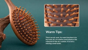 Oferta Especial: Peine Clásico y Moderno para la Prevención de la Caída del Cabello, Peine de Salón con Cojín de Aire, Peine de Madera de Sándalo para Masaje del Cuero Cabelludo y Meridianos - Product Image 4