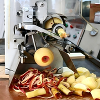 Commerciële elektrische appel schiller, ontpitter, snijder en appelkernmachine