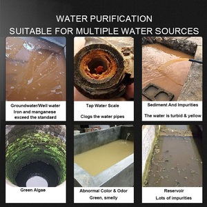 Purificador de Agua de Ultrafiltración <span class=keywords><strong>Amarillo</strong></span> con Certificación FDA, para Cocina, Hogar y Uso en Exteriores, para Toda la Casa, Removible, Central, Lavable, <span class=keywords><strong>Flujo</strong></span> de 2T/H, 0.01 - Product Image 6
