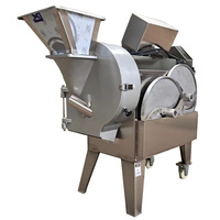 Dubbelkopige commerciële multifunctionele groentesnijder, -slicer en -shredder met 1 jaar garantie, afkomstig uit China
