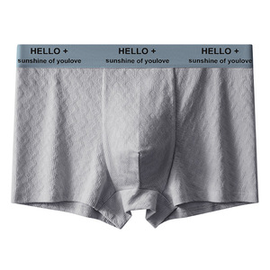 Nouveaux Caleçons pour Hommes, Boxers Tendance Jeunesse, Respirants et Confortables, Shorts pour Garçons - Product Image 3