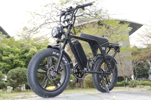 Vomo C80 Xe Đạp Điện 250W 15AH Mới V8 E Xe Đạp Nhỏ Powered Siêu Nhẹ Lithium Xe Đạp Điện C80 Vomo Ebike - Product Image 6