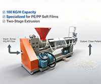 Machine d'extrusion de recyclage de film PE PP en deux étapes avec une capacité de 100 kg/h pour les sacs en plastique et les films agricoles