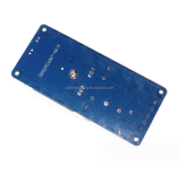 En Stock Carte d'Amplificateur de Puissance Numérique HIFI Monocanal IRS2092 500W Classe D pour Scène