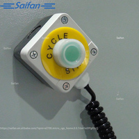 Scie à bois horizontale Saifan SF6060 2m/4m/6m certifiée ISO9001 avec cœur PLC durable pour une coupe continue