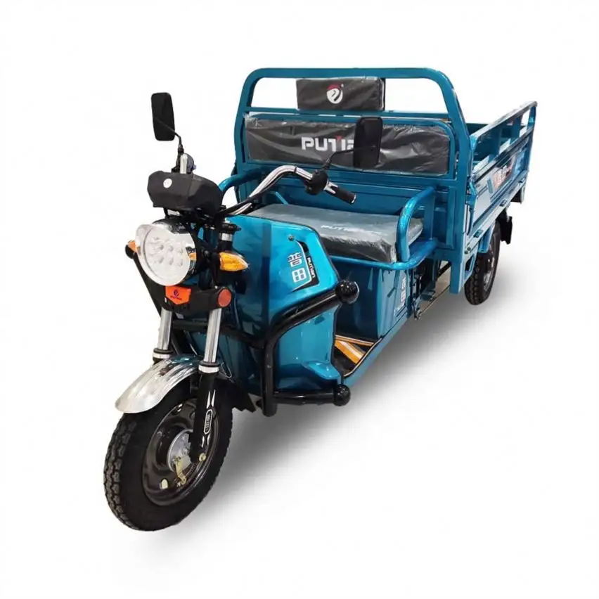 Factory Direct Blue Electric Motor Tricycle Meaning For Women Use