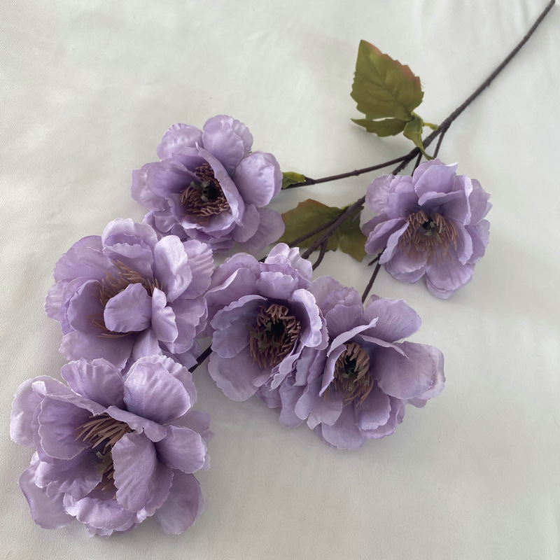 Peonia bianca a 6 teste