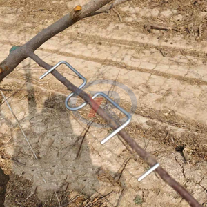 Entrenador <span class=keywords><strong>de</strong></span> tallos <span class=keywords><strong>de</strong></span> plantas, fuerte, huerto, granjero, regalo, herramientas <span class=keywords><strong>de</strong></span> granja, máquina tiradora <span class=keywords><strong>de</strong></span> ramas <span class=keywords><strong>de</strong></span> árboles - Product Image 2