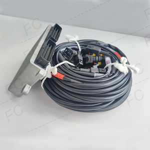 FC Sistema de inyección secuencial para automóviles 5ta generación 6/8 Cilindro ECU Kit de conversión GNV <span class=keywords><strong>GLP</strong></span> Gas FC 2568D ECU - Product Image 3