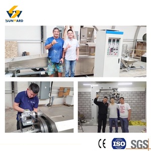 Stainless Steel Risoni Pasta Manufacturing Line Single-screw Extrusion System for Rice <b>Grain</b> Shaped Pasta Equipment - Product Image 4