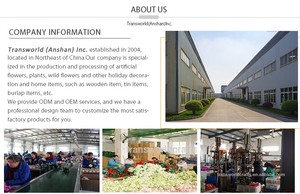 พวงหรีดสำหรับพืชประดับในร่มต้นคริสต์มาส - Product Image 5