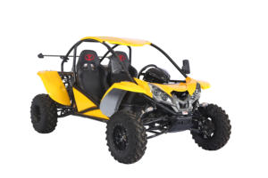 Kart tout-terrain certifié EPA/EEC, buggy tout-terrain 4x4 Renli 500cc économique pour adultes - Product Image 3