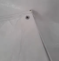 Meilleurs prix pour bâche en PE robuste, imperméable, stabilisée aux UV, résistante aux déchirures, 100gsm-250gsm, pour usage extérieur, style uni