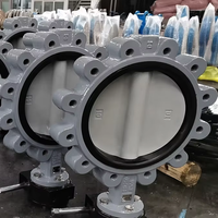 Válvula de Mariposa Económica de Acero Inoxidable Tipo Lug PN10/PN16 Estándar ANSE DIN BS DN100 DN150 con Sello de Goma/PTFE para Tratamiento de Agua