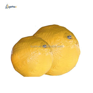 Dynamomètre de test universel Suptrue 50T sans fil <span class=keywords><strong>Dyno</strong></span> Chassis à vendre avec sac de poids de test - Product Image 6