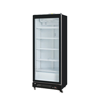 Réfrigérateur vertical de supermarché, armoire réfrigérée, double refroidisseur de boissons pour boissons