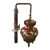 DYE 50L Aangepaste Distilleerapparatuur voor Fruitgebaseerde Geesten - Perfect voor Boomgaard- en Fruitboerderijdistilleerderijen