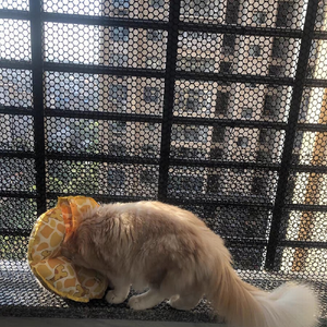<span class=keywords><strong>Filet</strong></span> plat en plastique HDPE diamanté, sûr et flexible, avec service de découpe, pour la <span class=keywords><strong>protection</strong></span> des chats sur balcon et l'enclos anti-chute pour animaux de compagnie - Product Image 5