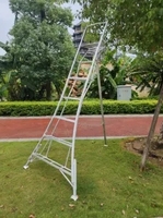 Escalera Trípode de Aluminio Plegable para Trabajos Agrícolas con Pie Ajustable
