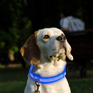 배터리 전원 조정 가능한 라이트 칼라 나일론 방수 LED 애완 동물 목걸이 및 산책 애완 동물 이벤트 판촉물 - Product Image 4