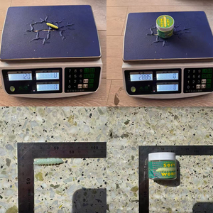 Señuelos blandos flotantes de imitación de lombriz con aroma a <span class=keywords><strong>queso</strong></span>, que brillan en la oscuridad con UV, para pesca de trucha <span class=keywords><strong>y</strong></span> carpa. - Product Image 6
