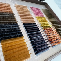 Extensions de cils individuelles colorées en gros, plateaux de cils marron clair, moyen et foncé en PBT