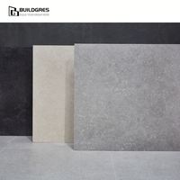 Carreaux de porcelaine gris mat antibactériens, résistants au sel et au sable, résistants aux acides, 600x600mm, pour maisons de plage et villas de luxe