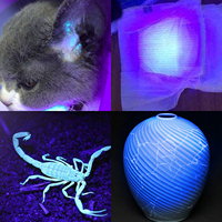 Lampe torche UV LED portable 365 nm, mini lampe ultraviolette, corps en aluminium IP65, piles AA, accessoires, détecteur, lampe torche pour les soins des animaux de compagnie