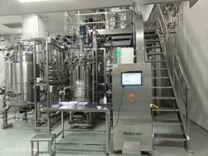 Biorreactores industriales para cultivo de tejidos bacterianos, agitador mecánico, fermentador de biorreactor de bacterias de acero inoxidable de 300L - Product Image 3