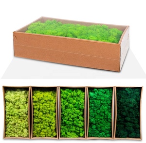 Wholesale Last 5 Years Green Wall Real Natural Stabilized Preserved Decorative <strong>Moss</strong> <strong>Bun</strong> Pillow Cushion Pole <strong>Moss</strong> - Product Image 4