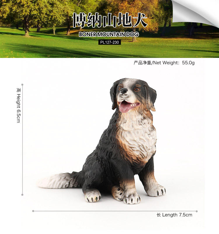 230Boner Mountain Dog