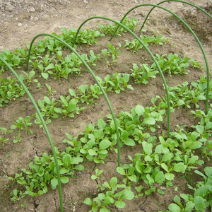 Serre tunnel de jardin mini avec cadre métallique et filet anti-insectes, écologique, pour plantes de jardin - Product Image 4