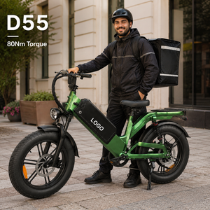 Vélo cargo électrique D55 48V personnalisé 750W 1000W avec pneus larges de 20 pouces, 7 vitesses, frein à disque et suspension intégrale - Product Image 1