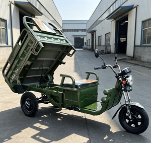 Triciclo Eléctrico de 1000W con Certificación EEC COC, Alta Potencia para Transporte de Mercancías Agrícolas y Entrega de Última Milla - Product Image 4