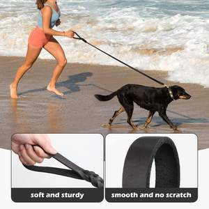 Laisse en cuir pour chien Laisse de dressage de chien solide et durable Laisses en cuir pour animaux de compagnie pour chiens de grande taille et de petite race - Product Image 4