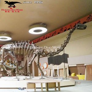 <span class=keywords><strong>Esqueleto</strong></span> fósil de <span class=keywords><strong>Triceratops</strong></span> de dinosaurio de fibra de vidrio realista de tamaño completo - Product Image 5