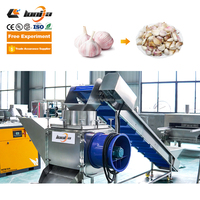 Machine à éplucher l'ail 300 kg/h Ligne de production automatique d'épluchage d'ail Ligne de production de pâte d'ail