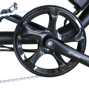 <span class=keywords><strong>2021</strong></span> Meilleure vente 20 pouces gros vélo électrique 500w 48v 13ah pour adulte - Product Image 5